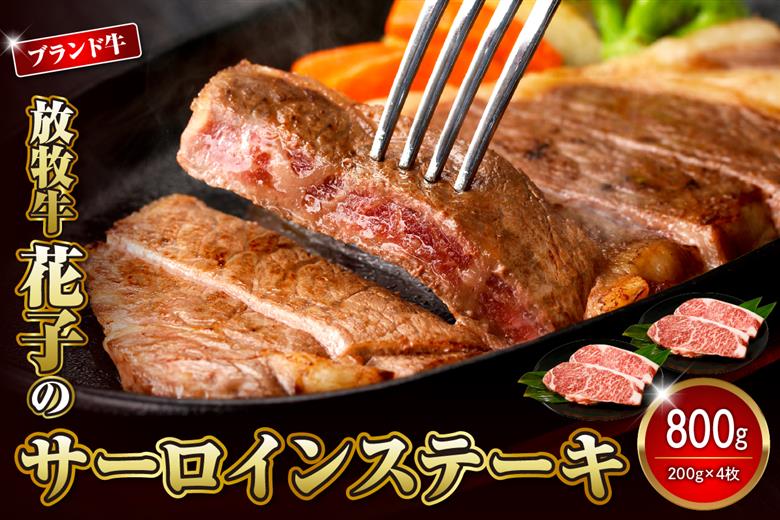 放牧牛“花子”のサーロインステーキ800g！【er008-019】