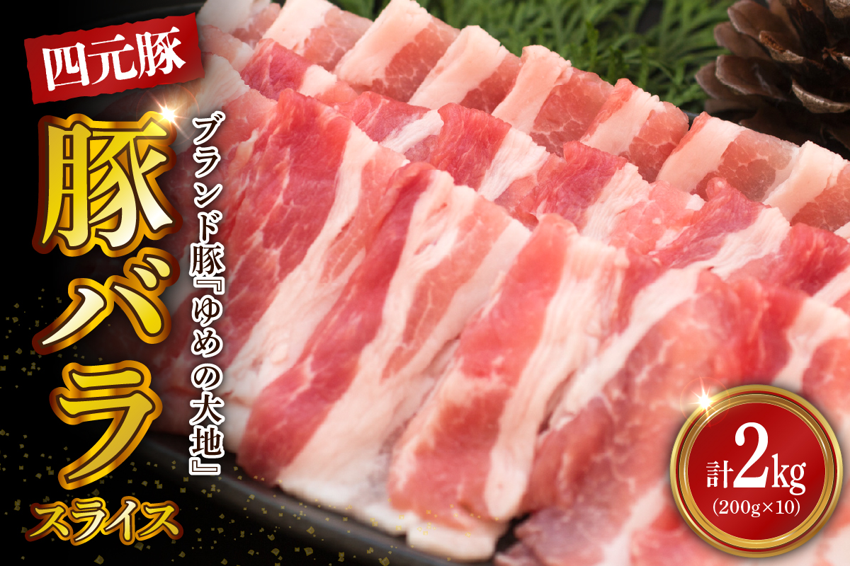 【えりも町生まれ 四元豚】ゆめの大地豚バラスライス200g×10パック計2kg【er020-005】