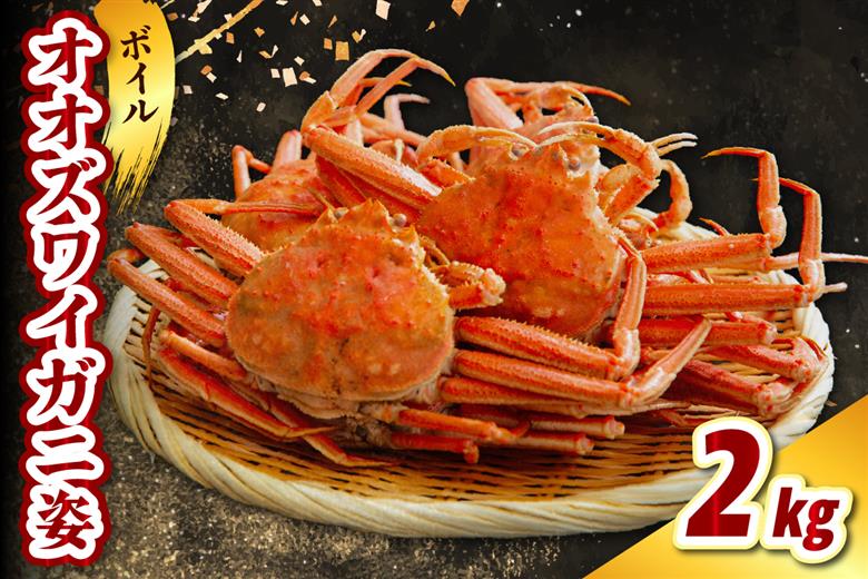 ボイルオオズワイガニ姿2kg（4～5杯）【er021-017】