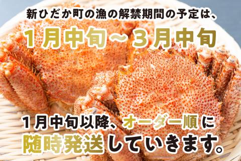 2024年1月から順次発送＞ 北海道産 かに 浜ゆで 毛がに 3尾 計 900g 以上 ＜予約商品＞ 毛蟹 毛ガニ 北海道 冷蔵 けがに かに味噌 カニ味噌  ボイル 新ひだか町: 新ひだか町ANAのふるさと納税