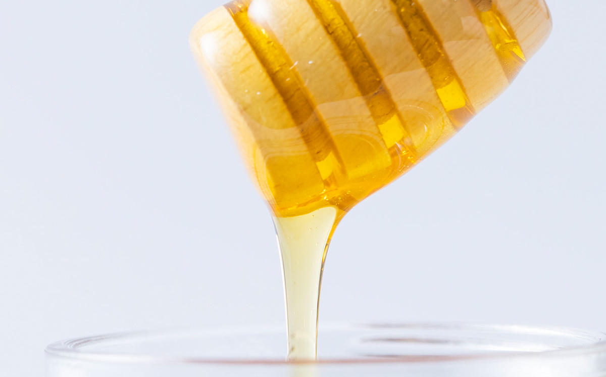 北海道産 天然 はちみつ 百花蜜 2.4kg