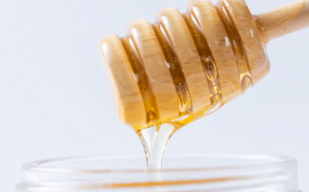 北海道産 天然 はちみつ ホワイトクローバー蜜 12kg