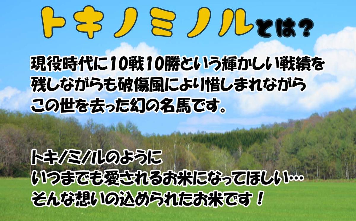 北海道産 新米 ななつぼし トキノミノル 白米 10kg