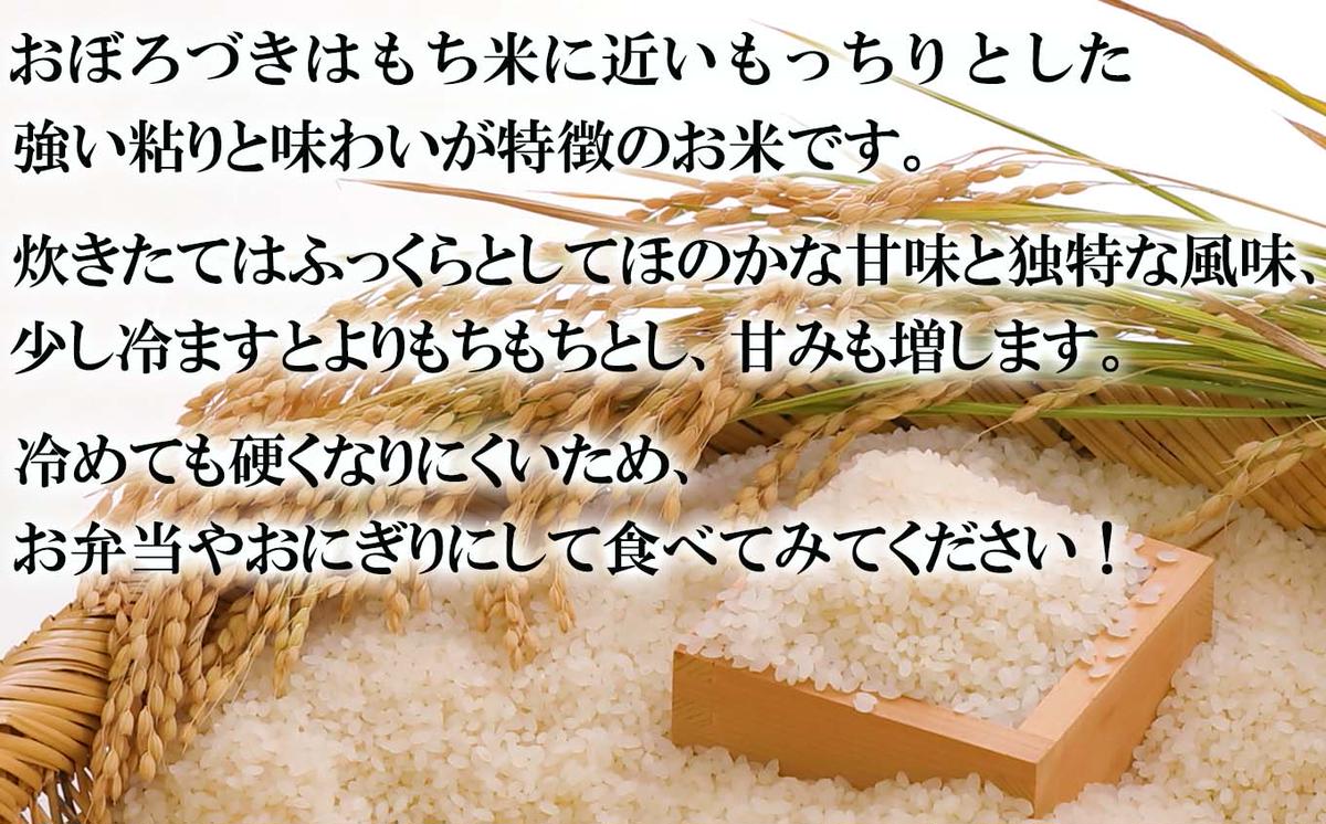 新米 令和7年度産 北海道米 おぼろづき 白米 10kg (5kg×2) 北海