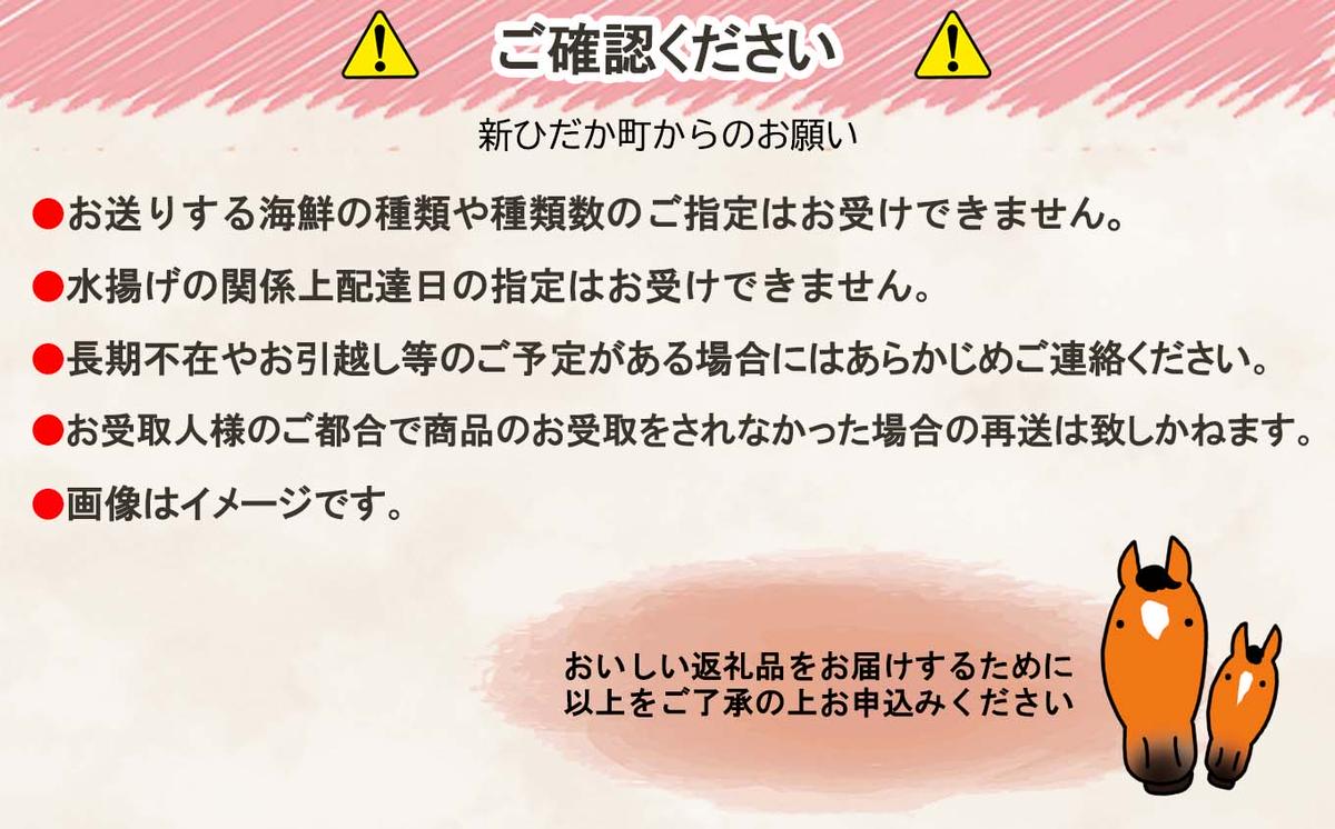 北海道産 旬の魚介 5種以上 豪華 お楽しみ詰め合わせ セッ