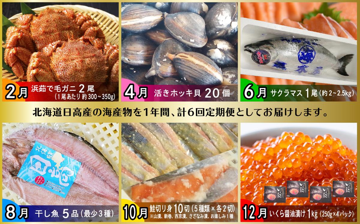 ＜2026年2月から順次発送＞【 定期便 6回 】 北海道産 海の幸