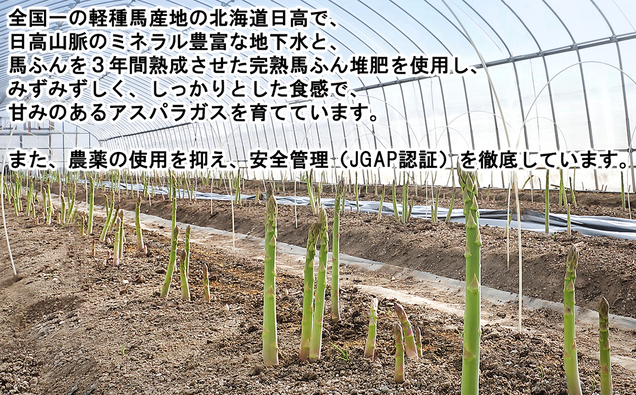 ＜先行予約＞ 北海道産 春採り ホワイト アスパラガス 1kg 3L