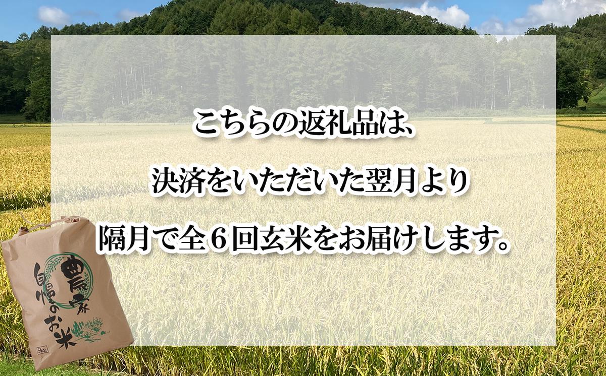＜ 定期便 6回 ＞ 北海道産 希少米 おぼろづき 玄米 5kg 隔月 