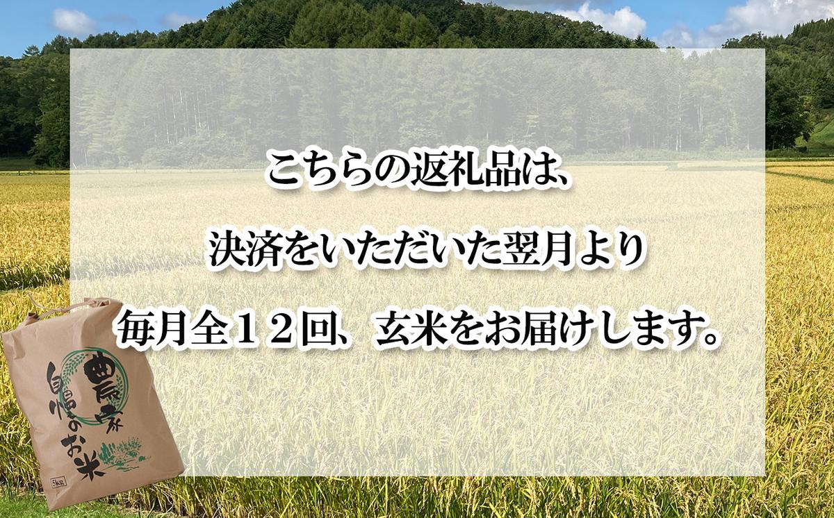 ＜ 定期便 12回 ＞ 北海道産 希少米 おぼろづき 玄米 計 10kg (