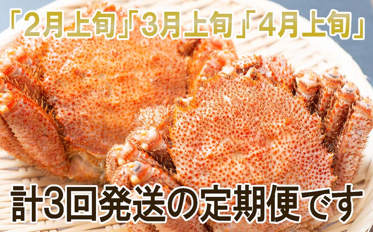 ＜2026年2月上旬から順次発送＞【 定期便 全 3回 】 北海道産
