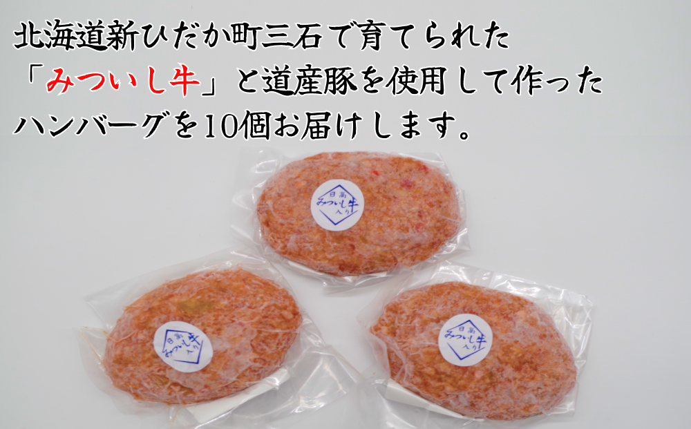 北海道産 黒毛和牛 みついし牛 と 道産豚 ハンバーグ 計 1kg 