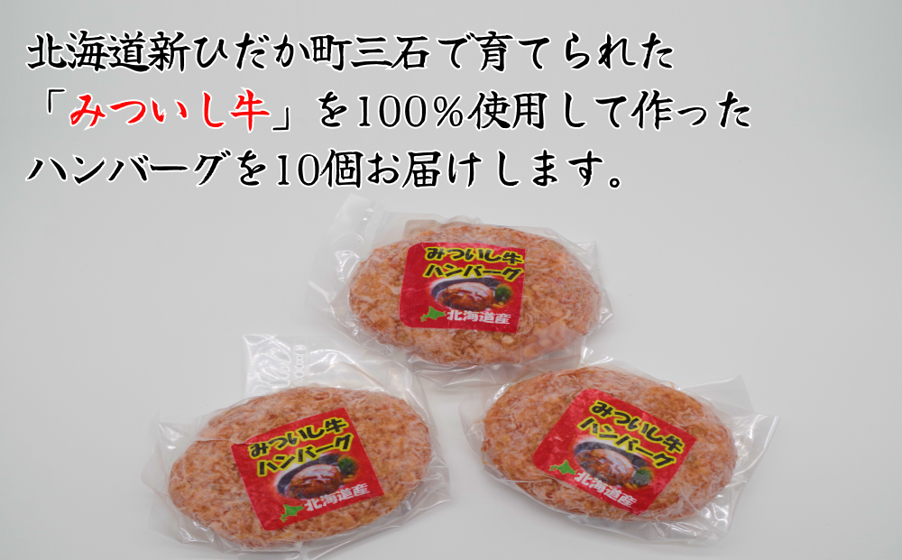 北海道産 黒毛和牛 みついし牛 ハンバーグ 計 1kg （ 100g × 10