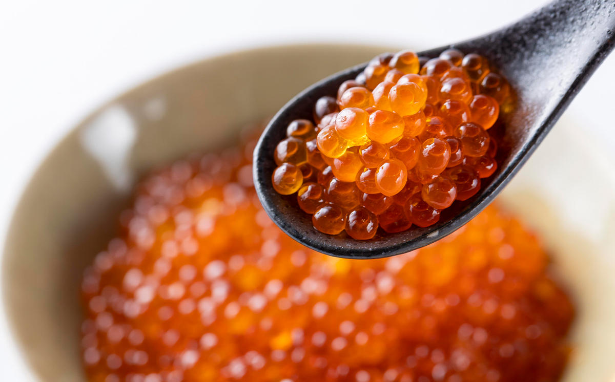 北海道 日高産 いくら 醤油漬 500g ( 250g × 2パック )