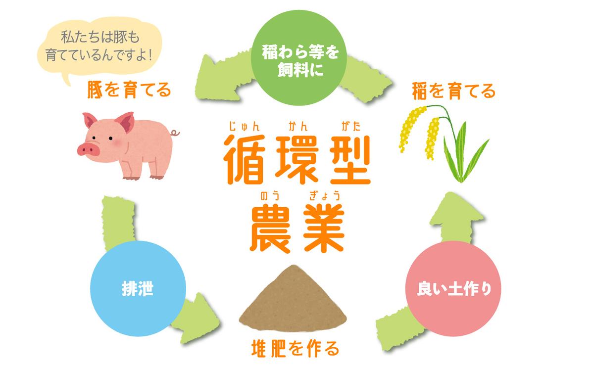 ＜2024年9月より発送＞ 北海道米 新米 ななつぼし玄米 30kg （