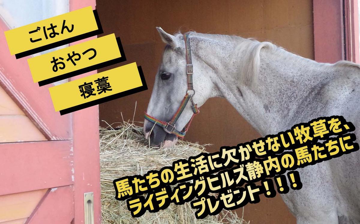 競走馬のふるさと 北海道 新ひだか町 ライディングヒルズ