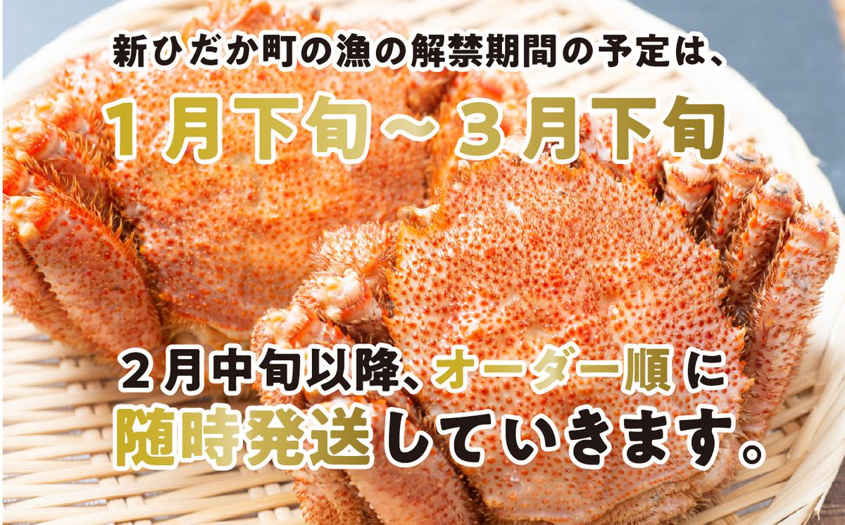 ＜2026年2月中旬から順次発送＞ 訳あり 北海道産 浜ゆで 毛