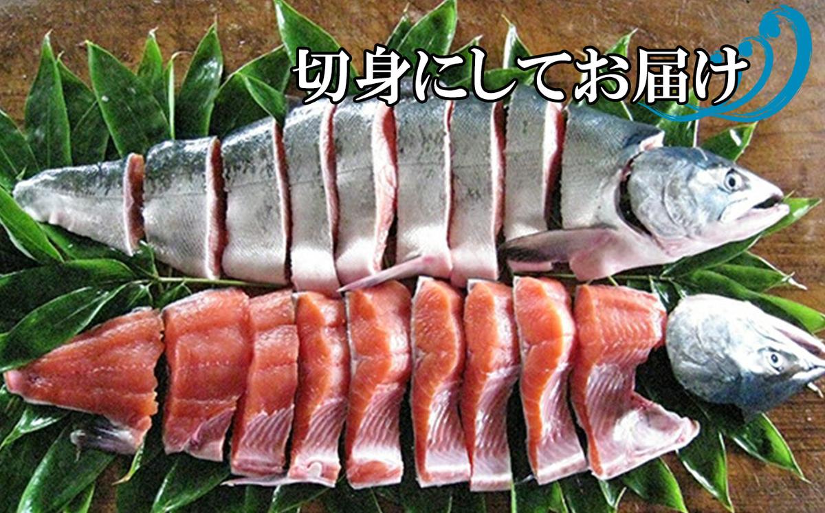 北海道産 鮭 新巻鮭 切身 約 2.2kg さけ サケ 網元特製 頭付き