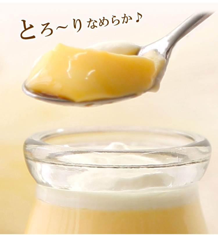 北の大地 の 『 雪どけ プリン 』 6個 入り スイーツ デザー