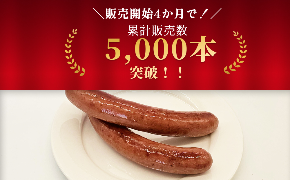 北海道産 黒毛和牛 100％ こぶ黒 BIG フランクフルト 4本 入り