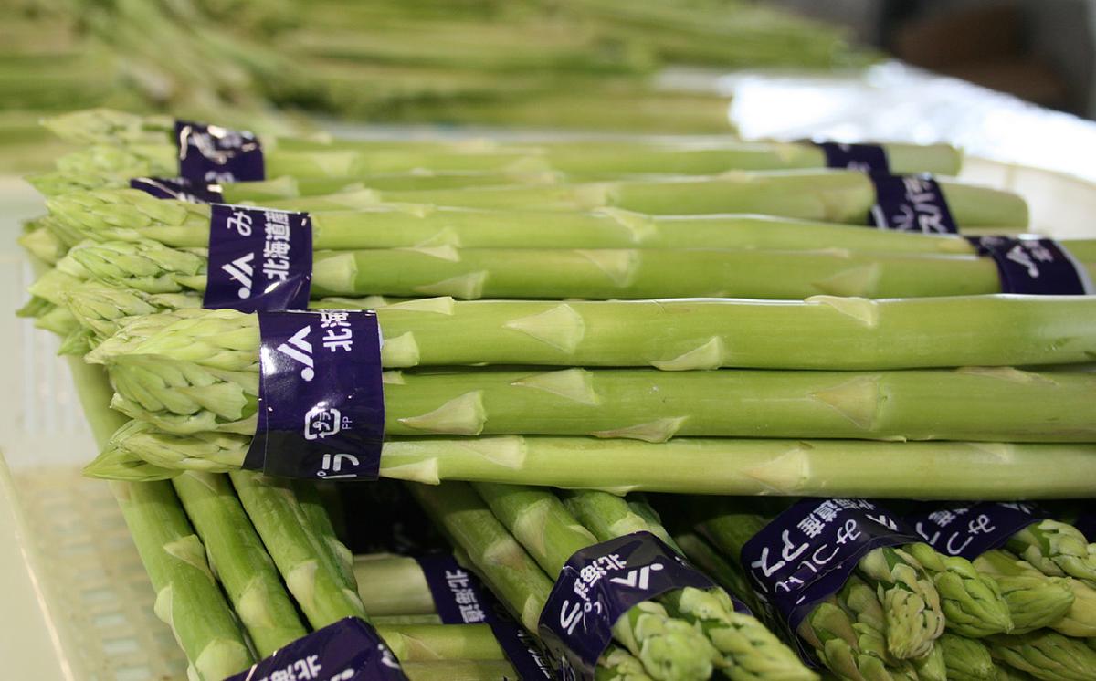 ＜ 2026年4月より発送 ＞  北海道産 グリーンアスパラ M / L 混