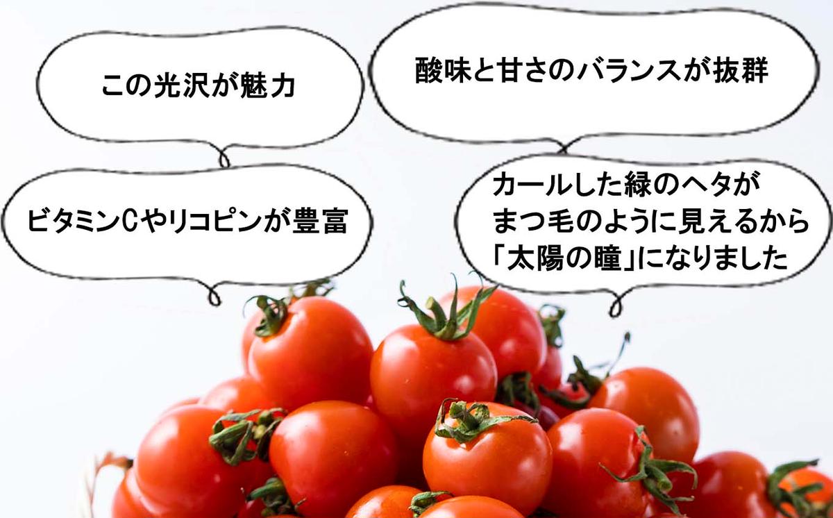 ＜9/15までの受付＞ 北海道産 ミニトマト 太陽の瞳 Mサイズ 3