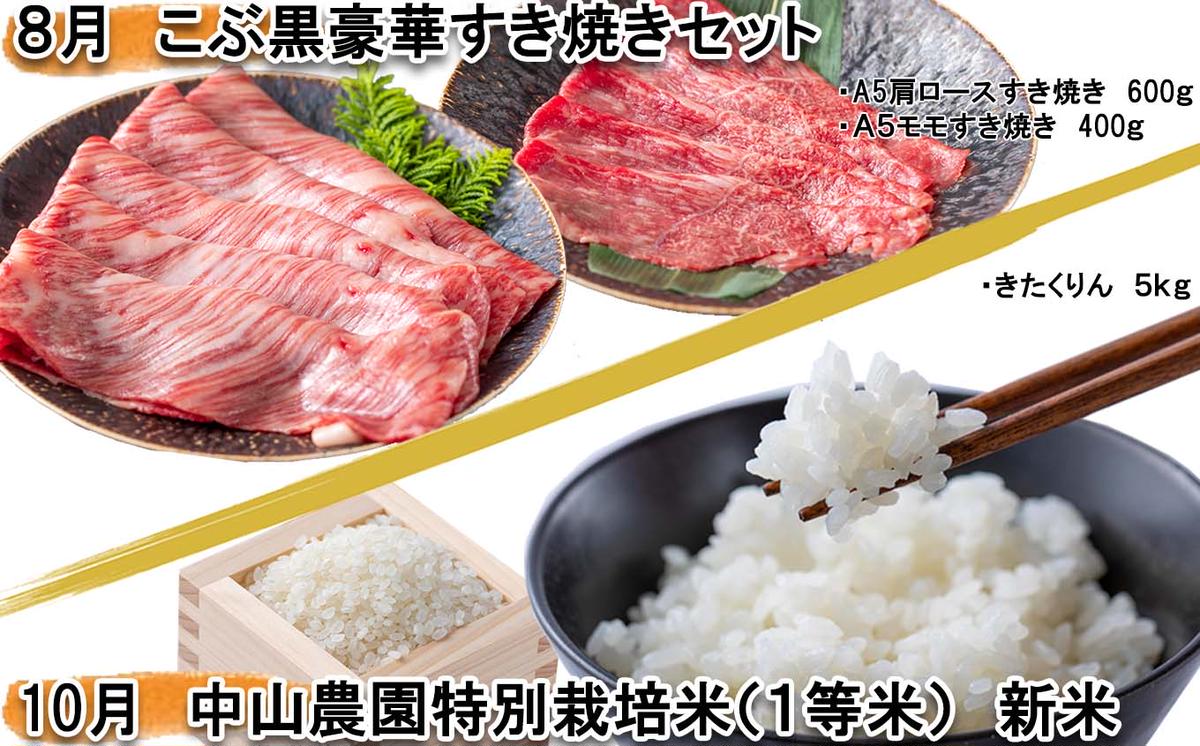＜2024年4月より6回定期便＞北海道産 黒毛和牛 こぶ黒 特別