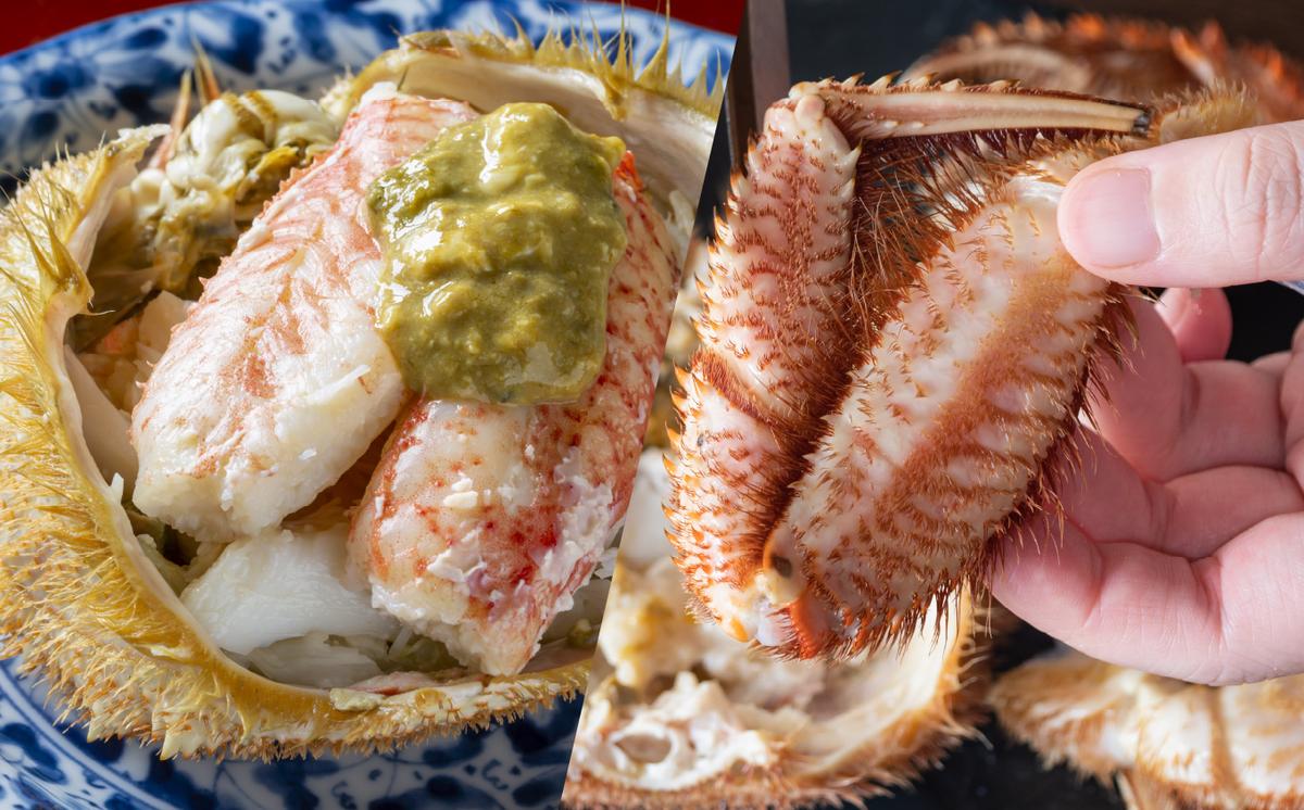 ＜2026年2月から順次発送＞【 定期便 6回 】 北海道産 海の幸