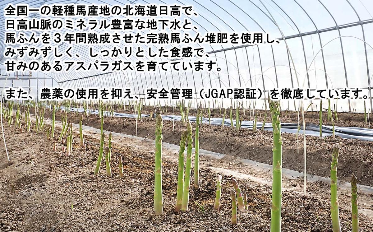 ＜8月20日までの受付＞北海道産 夏採り グリーン アスパラ