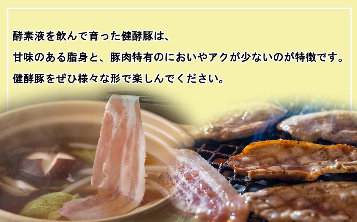 北海道産 健酵豚 おまかせ セット 3～4パック 豚肉 精肉 加