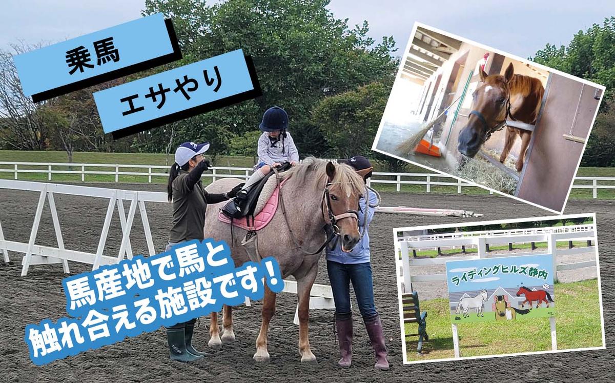 競走馬のふるさと 北海道 新ひだか町 ライディングヒルズ