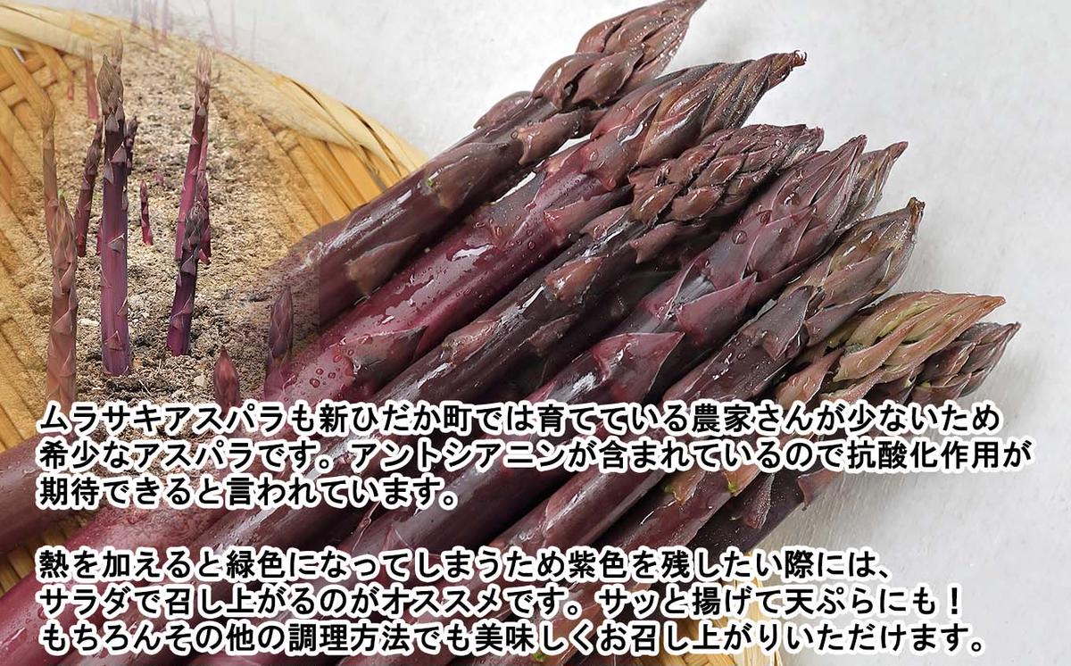 北海道産 アスパラ 計 1.5kg グリーン ホワイト ムラサキ セ