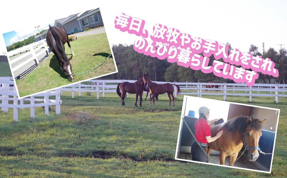 競走馬のふるさと 北海道 新ひだか町 ライディングヒルズ