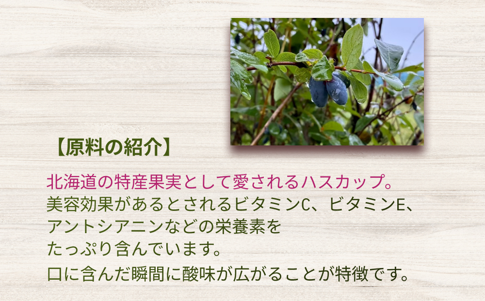 北海道産 ハスカップ 発酵酢 SUNOMO 希釈タイプ 計 4500ml （ 375