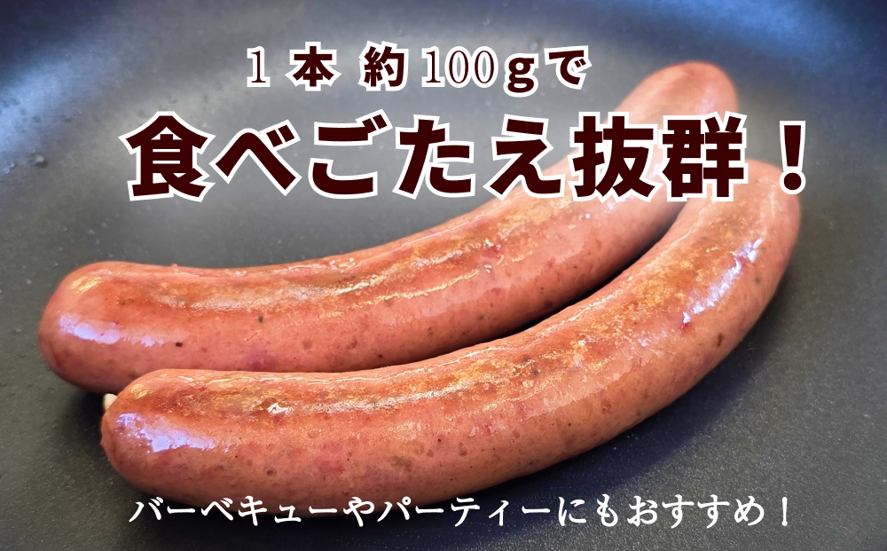 北海道産 黒毛和牛 100％ こぶ黒 BIG フランクフルト 4本 入り