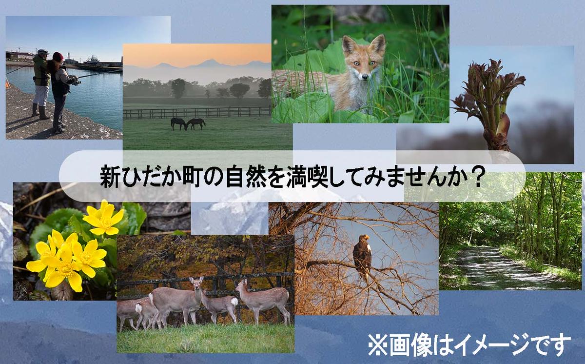 北海道 新ひだか町 体験 ツアー クーポン 10,000円分 日高 三