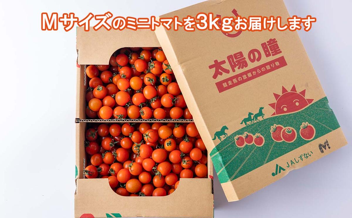 ＜9/15までの受付＞ 北海道産 ミニトマト 太陽の瞳 Mサイズ 3