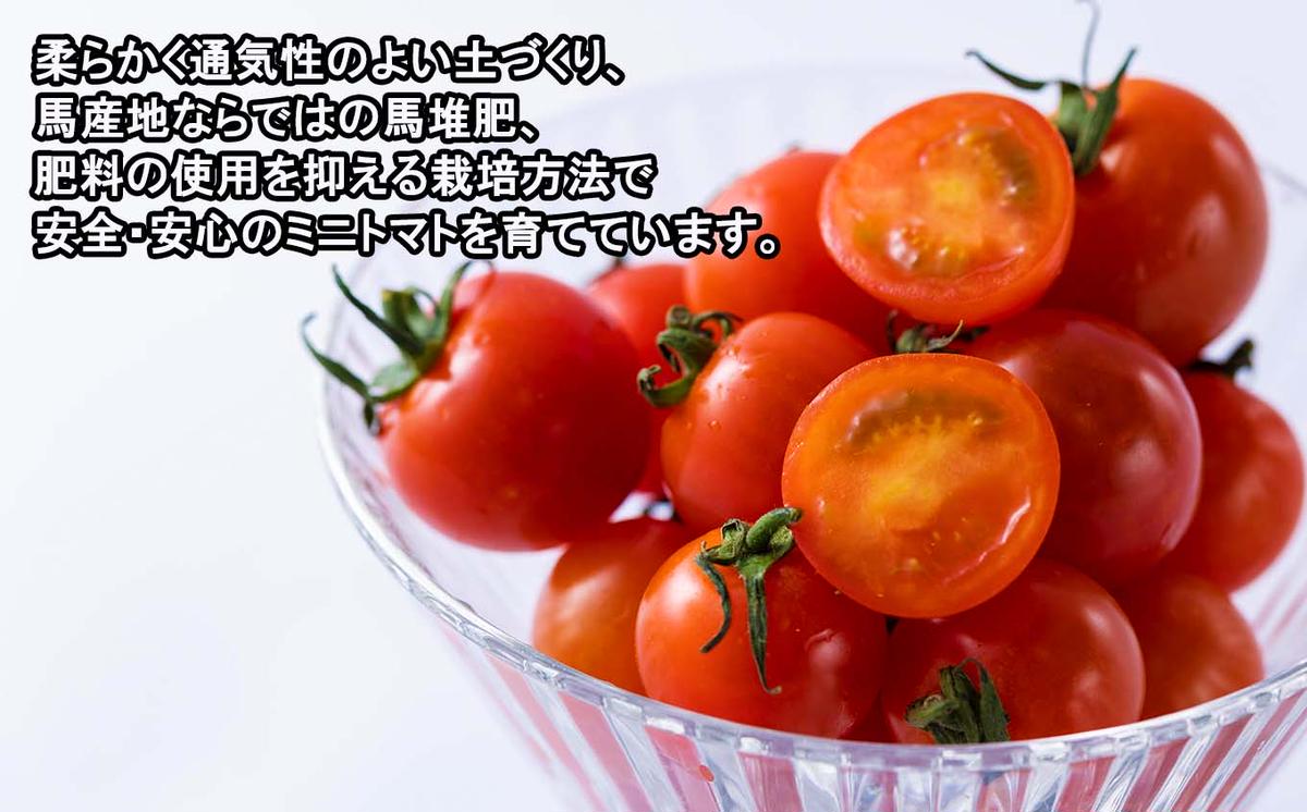 ＜9/15までの受付＞  北海道産 ミニトマト 太陽の瞳 Lサイズ 