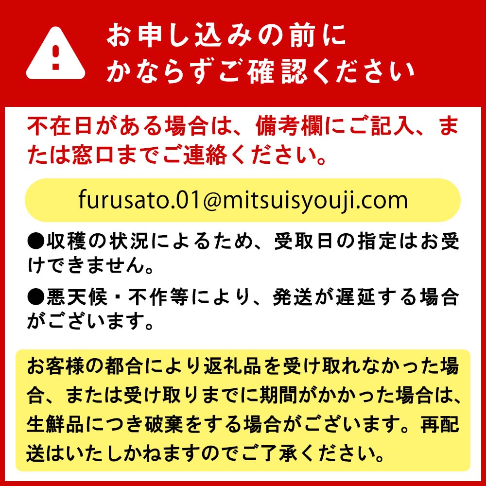 ＜ 2025年7月中旬より発送 ＞ 北海道産 メロン 赤肉 青肉 各1