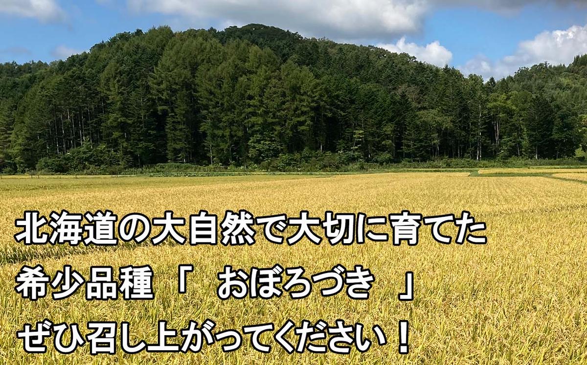 新米 令和7年度産 北海道米 おぼろづき 白米 5kg 北海道 新ひ