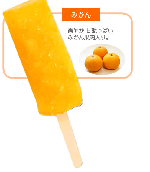 くずバー 10個入 夏季限定 アイス キャンディー 北海道・新