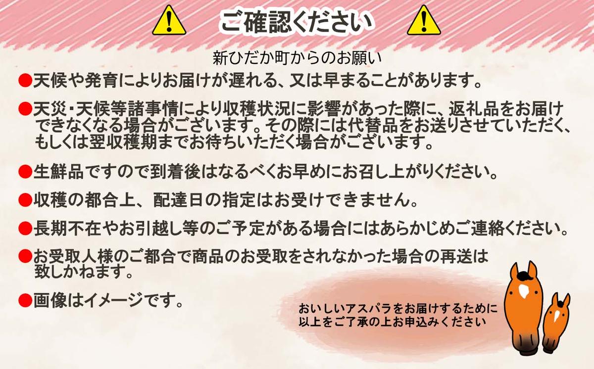 ＜8月20日までの受付＞北海道産 夏採り グリーン アスパラ