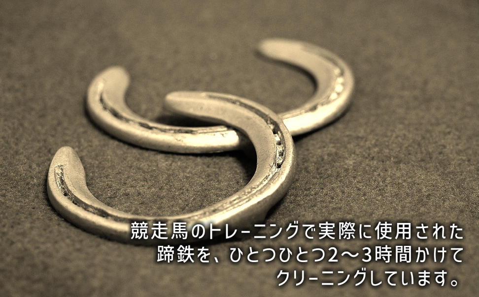 馬 蹄鉄 フラワーアート 約 17cm サラブレット 競走馬 蹄鉄 