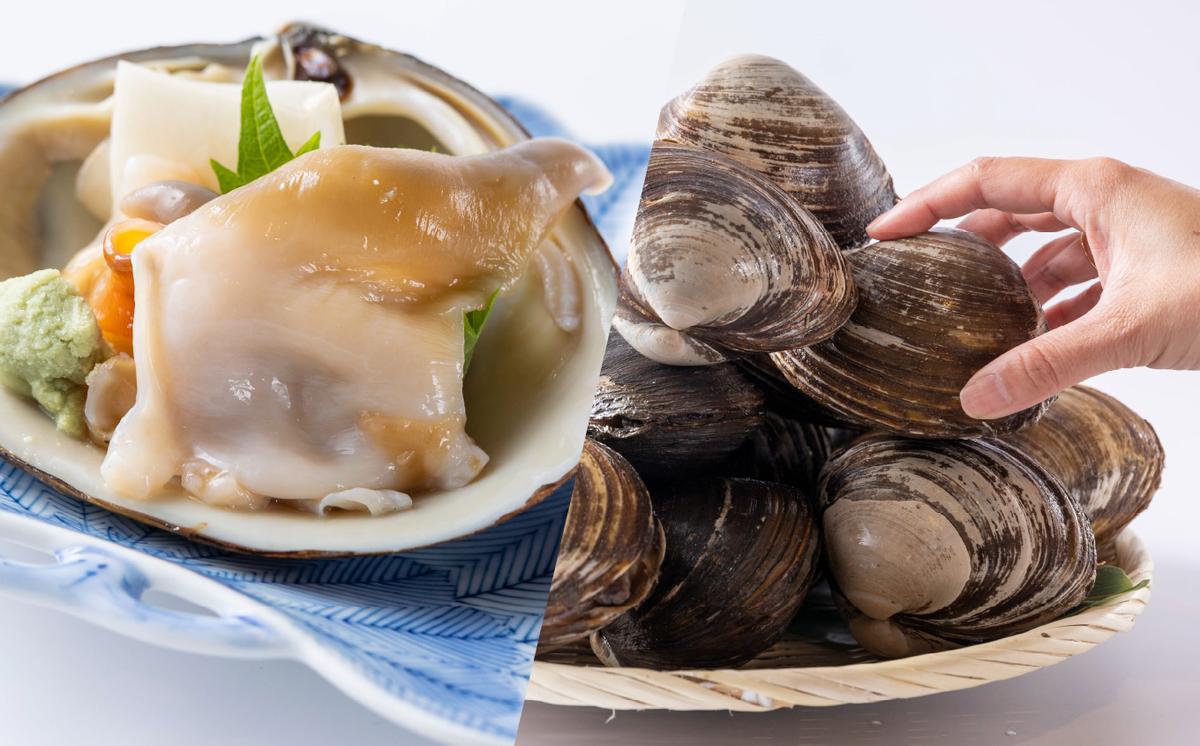 ＜12月から順次発送＞【 定期便 3回 】 北海道産 海の幸 定