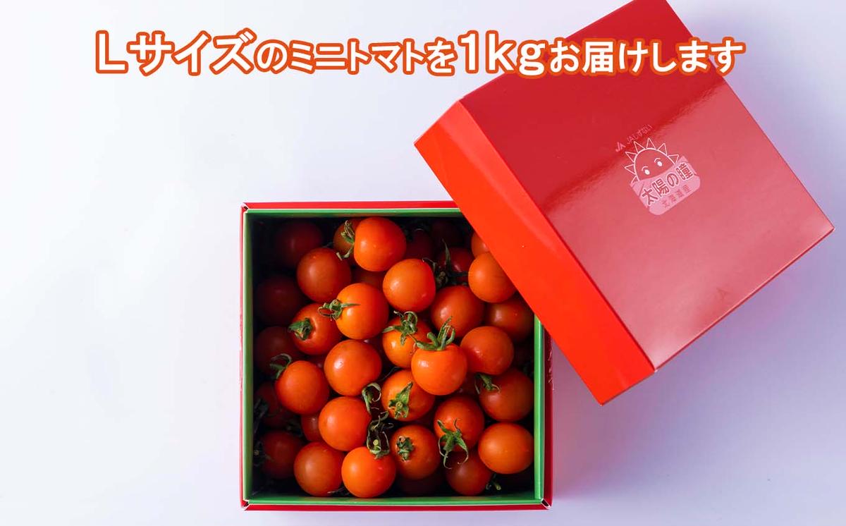 ＜9/15までの受付＞  北海道産 ミニトマト 太陽の瞳 Lサイズ 