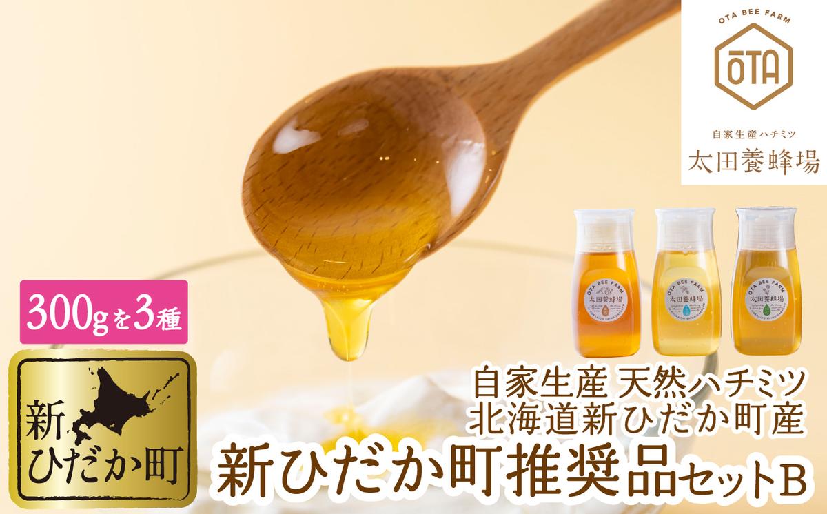 北海道産 はちみつ 3種 計 900g 各300g 新ひだか町 推奨品 セッ
