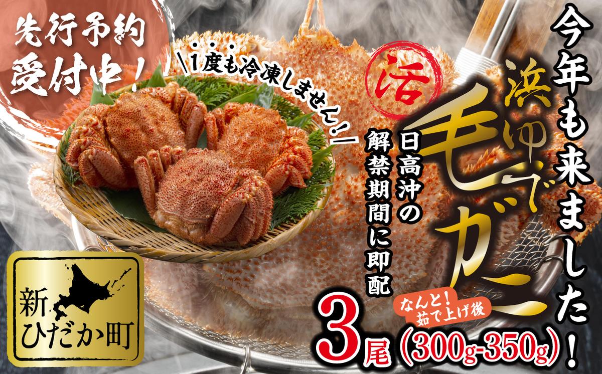 ＜2026年2月中旬から順次発送＞ 北海道産 かに 浜ゆで 毛が
