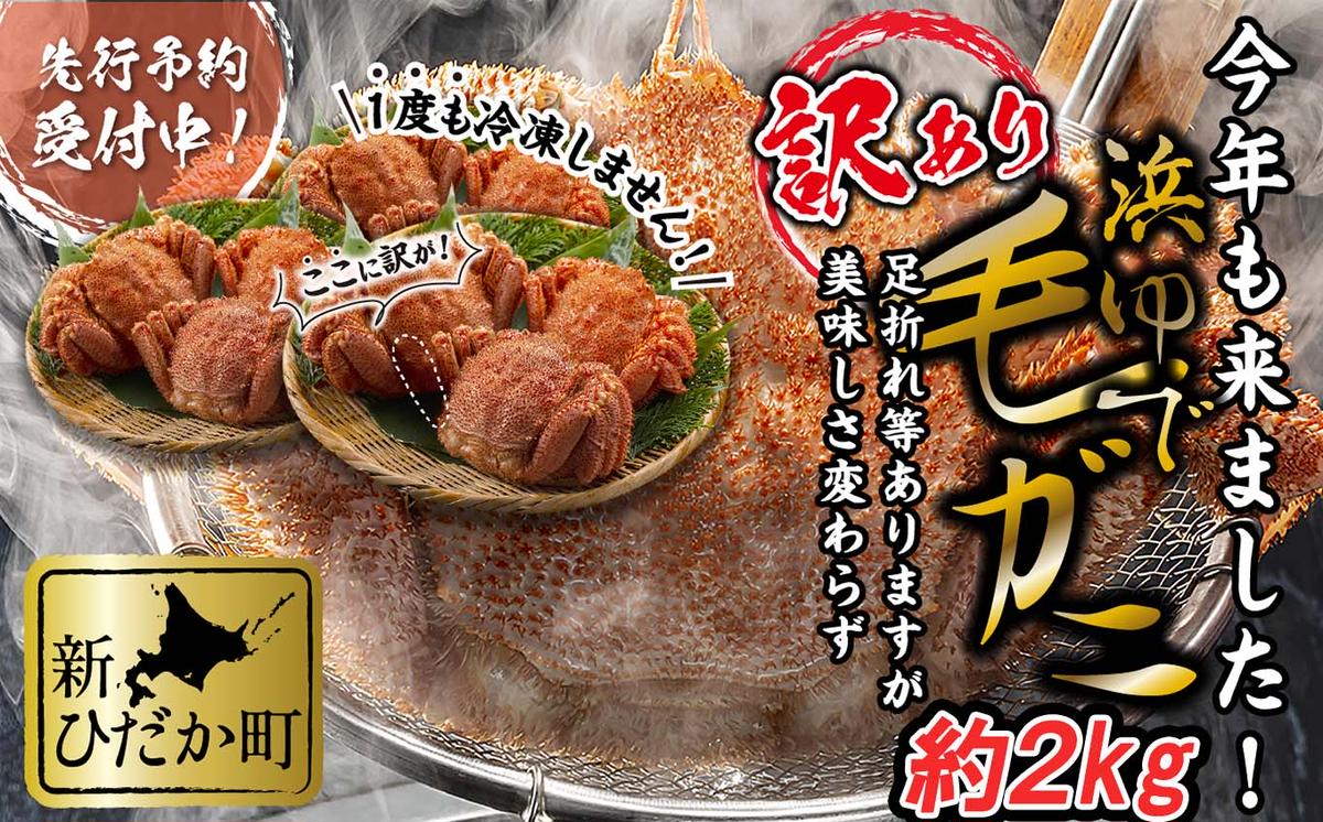 ＜2026年2月中旬から順次発送＞ 訳あり 北海道産 浜ゆで 毛