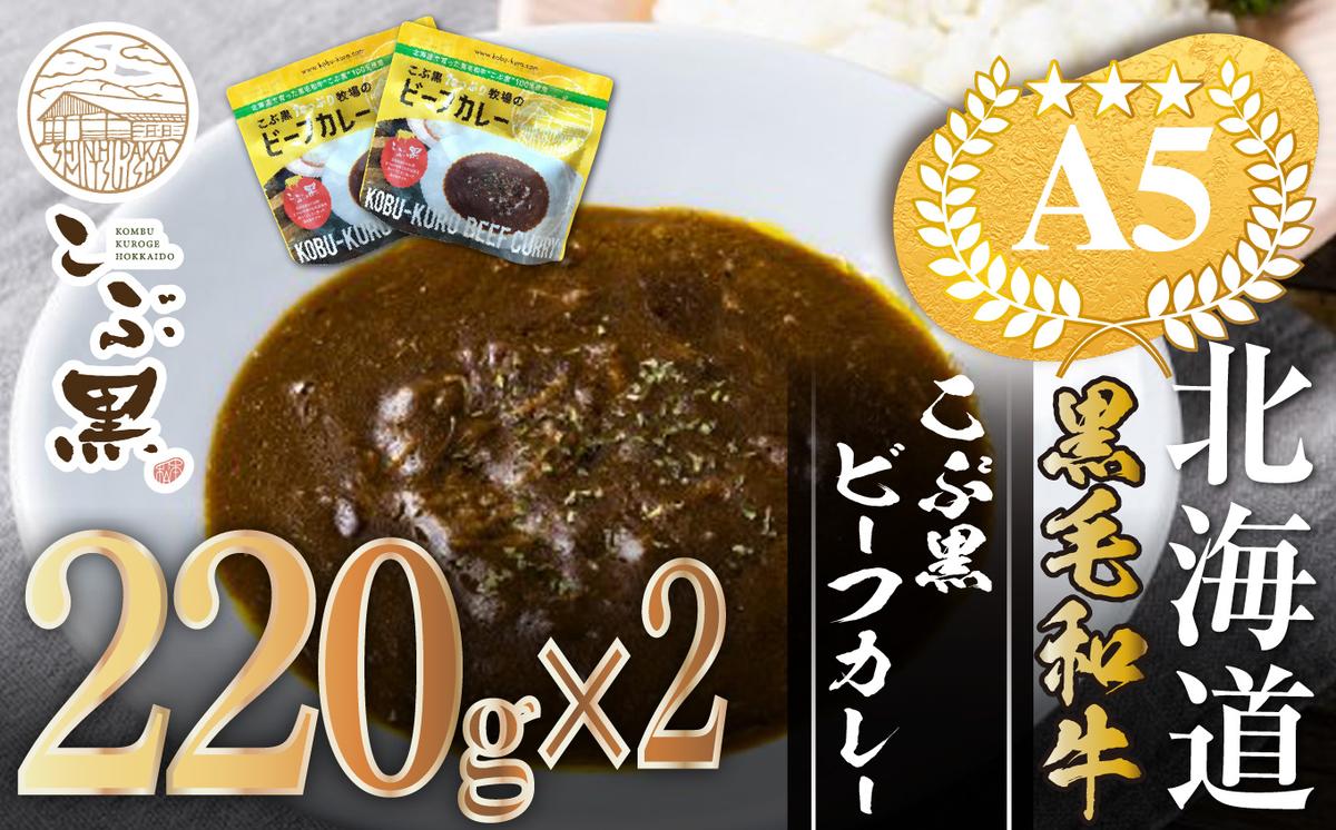 北海道産 黒毛和牛 こぶ黒 A5 ビーフカレー 220g × 2パック ＜