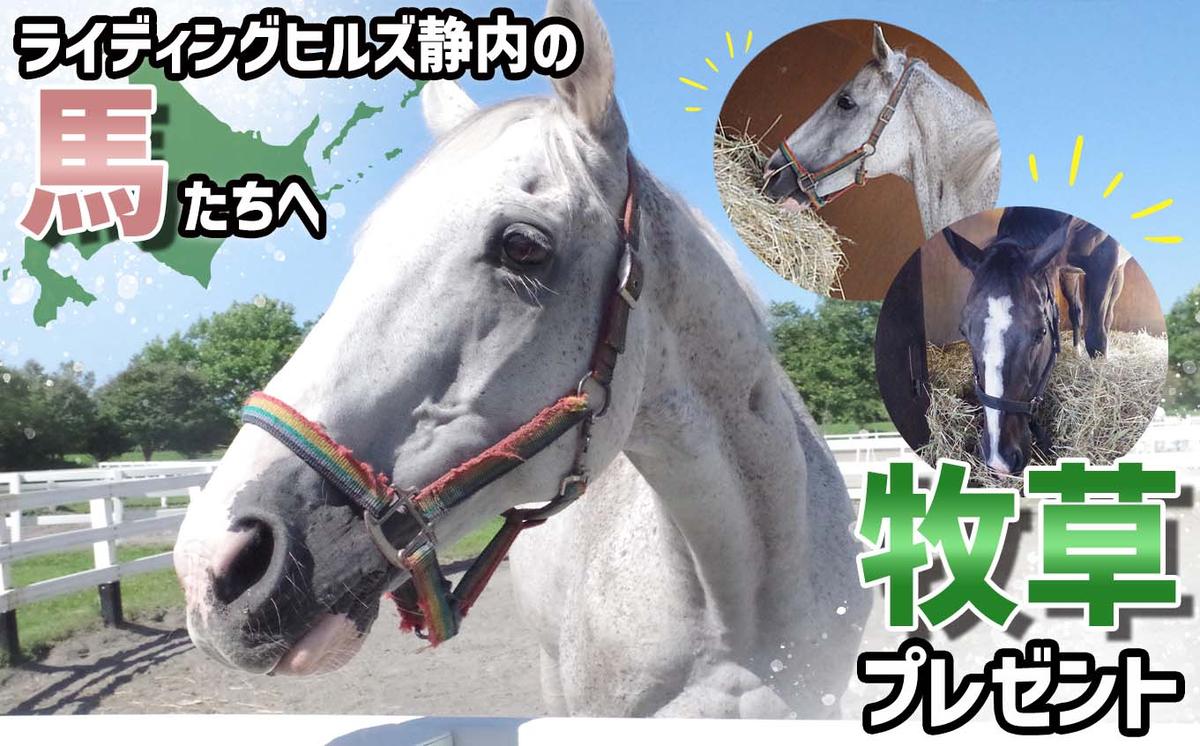 競走馬のふるさと 北海道 新ひだか町 ライディングヒルズ