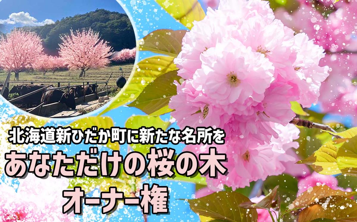 ＜ 北海道 新ひだか町 に新たな 桜 の 名所 を ＞ あなた だ